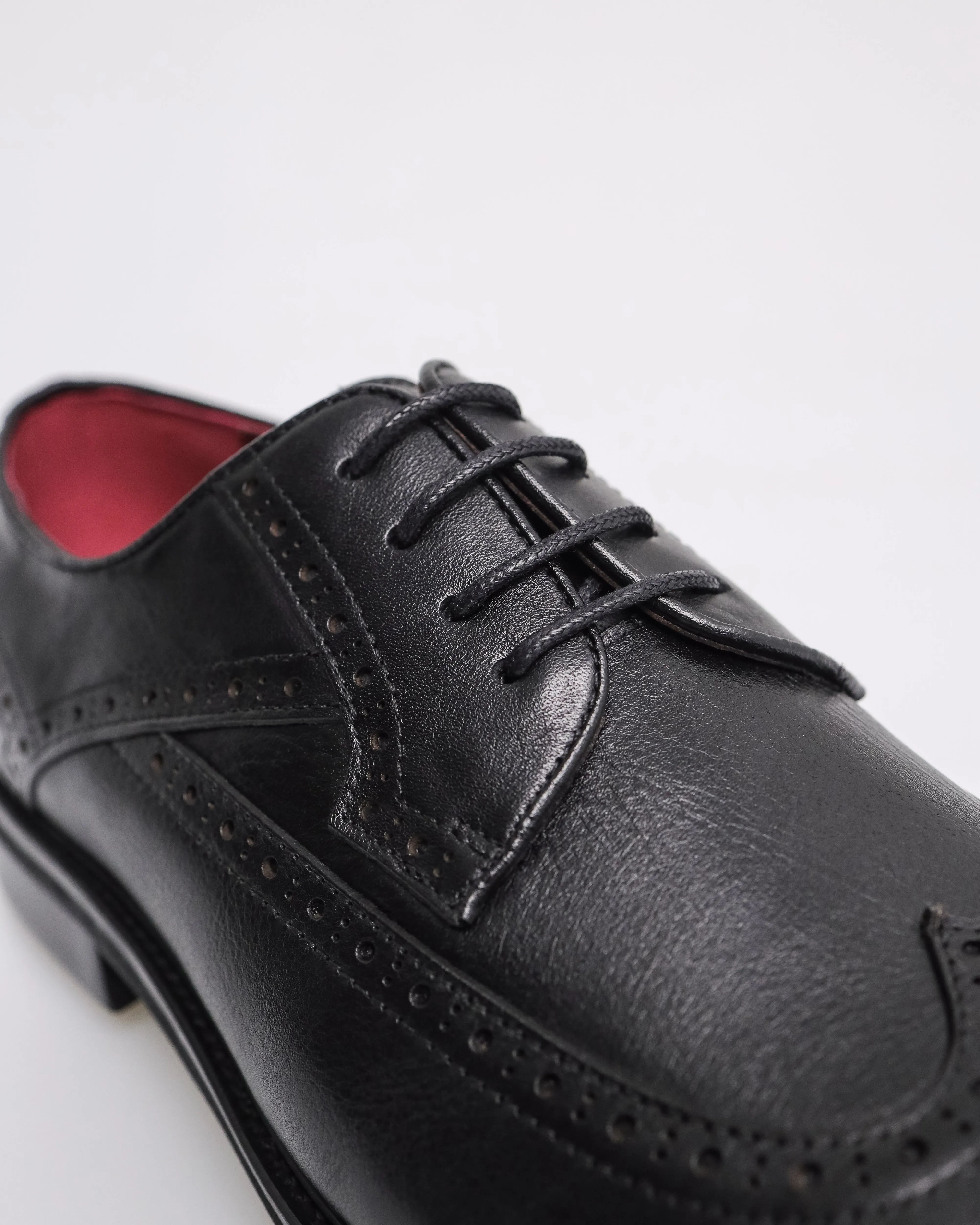 Tomaz HF066 Men's Brogue Derby